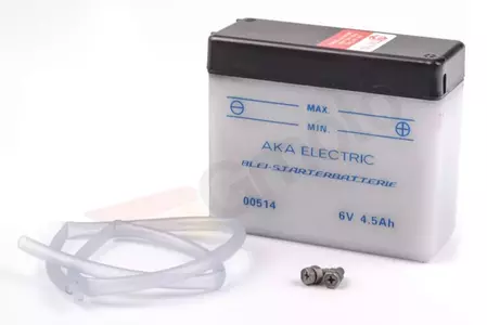 "Aka Electric" 6V 4.5Ah-2