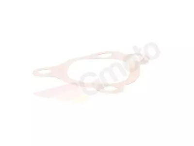 Alyvos siurblio tarpiklis Zipp Pro GT 50 13-4