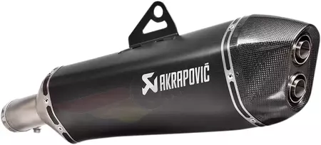 Akrapovic Slip-On äänenvaimennin BMW F 650/700/800 GS titaani-2