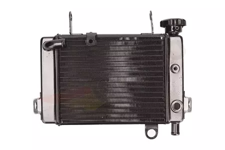 Воден охладител на Honda CBR 125-3