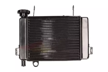 Воден охладител на Honda CBR 125-4
