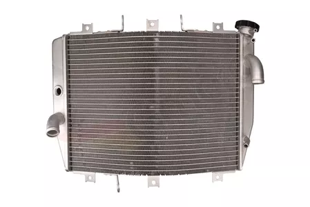 Kawasaki ZX-R6 Nijna radiatore acqua 98-02-4
