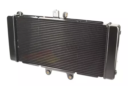 Suzuki GSF 650 Bandit radiatore ad acqua a liquido - 134862