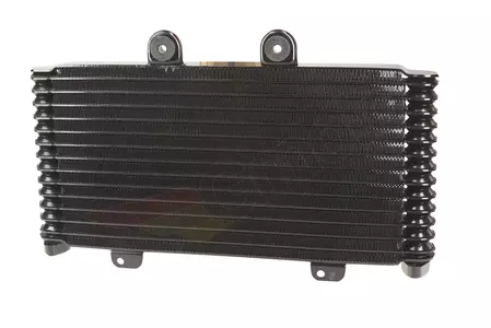 Suzuki GSF 1200 Bandit radiatore olio-2