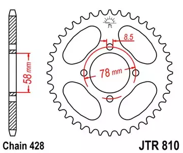 Kettenrad hinten Stahl JT JTR810.49, 49 Zähne Teilung 428-1