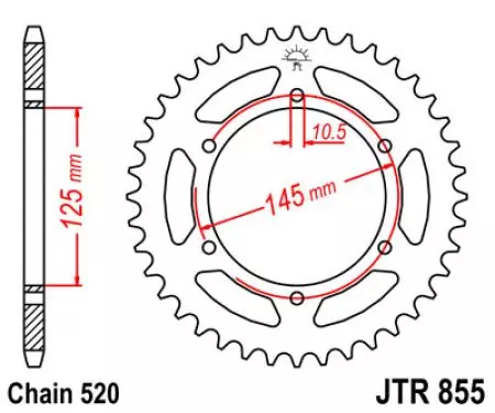 Задно зъбно колело JT JTR855.48, 48z размер 520-2