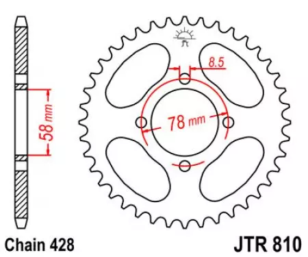 Bakre kedjehjul JT JTR810.42, 42z storlek 428-2