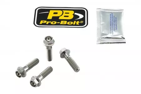 Conjunto de parafusos para pinças de travão Pro Bolt Titan silver TIFBMON90-1