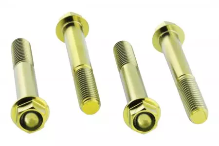 Set de șuruburi pentru etrier de frână Pro Bolt Titan gold TIFBMON510G-1