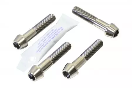 Conjunto de parafusos para pinças de travão Pro Bolt Titan silver TIFBMON170-2