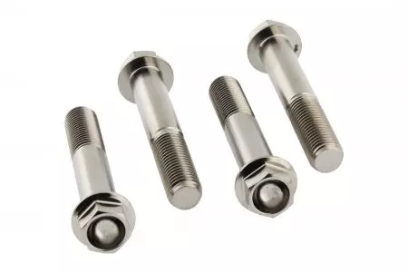 Conjunto de parafusos para pinças de travão Pro Bolt Titan silver TIFBMON360 - TIFBMON360