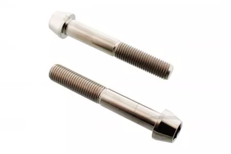 Conjunto de parafusos para pinças de travão Pro Bolt Titan silver - TIFBMON600