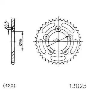 Zadní ocelové řetězové kolo Esjot 50-13025-48, 48Z, velikost 420 - 50-13025-48