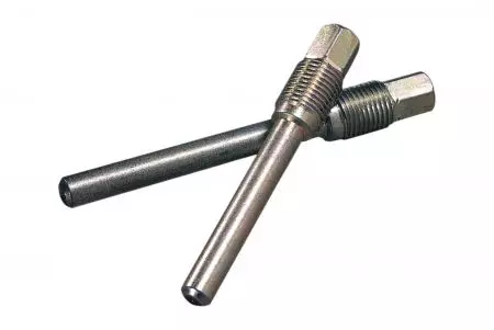 Pro Bolt bromsokstift i titan för montering av bromsbelägg TIPINBP003R - TIPINBP003R