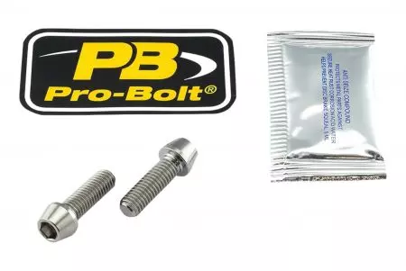 "Pro Bolt" titano stabdžių suportų varžtų rinkinys TIRBMON80 - TIRBMON80