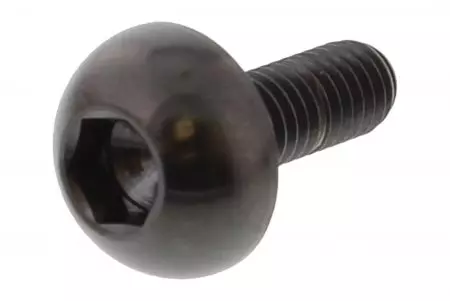 Pro Bolt tornillo de disco de freno M6x1,00 17mm titanio negro TIDISCHONFRBK-1