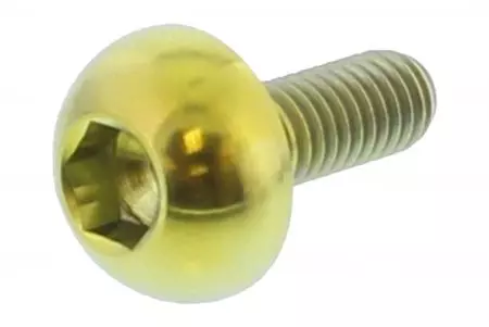 Śruba tarczy hamulcowej Pro Bolt M6x1,00 17mm tytan złota TIDISCHONFRG - TIDISCHONFRG