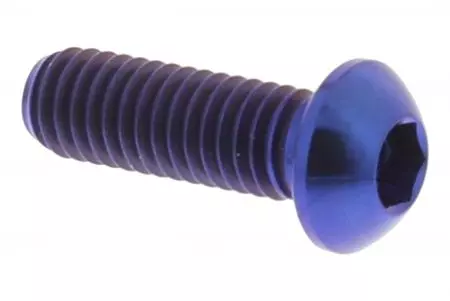 Skrutka brzdového kotúča Pro Bolt M6x1,00 18 mm titánová modrá TIDISCBMW002B - TIDISCBMW002B