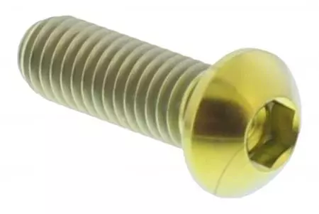 Pro Bolt vijak za zavorni kolut M6x1,00 18 mm titanovo zlato TIDISCBMW002G - TIDISCBMW002G