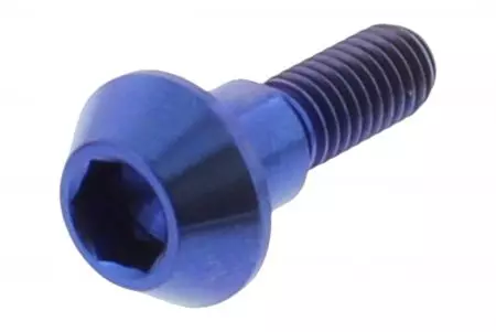 Pro Bolt remschijfbout M6x1,00 20mm titanium blauw TIDISCSUZ10B - TIDISCSUZ10B