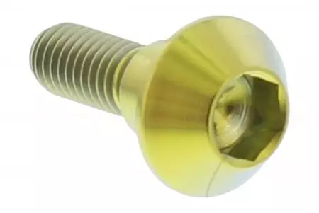 Pro Bolt vijak za zavorni kolut M6x1,00 20 mm titanovo zlato TIDISCR1R6G - TIDISCR1R6G