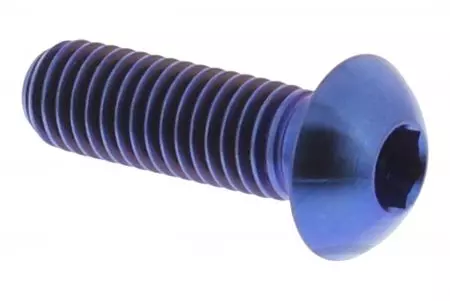 Skrutka brzdového kotúča Pro Bolt M8x1,25 25 mm titánová modrá TIDISCBMWB-1