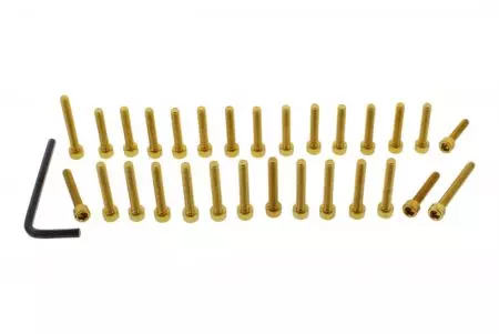 Conjunto de parafusos da tampa do motor em alumínio Pro Bolt dourados EKA196G - EKA196G