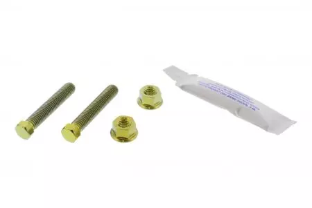 PRO-BOTL șuruburi de reglare a tensiunii lanțului M8X1.25mm 45mm titan-1