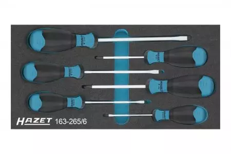 Set di utensili organizer 6 pezzi HAZET - 163-265/6