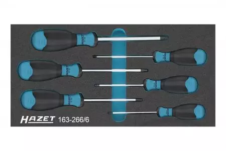 Set di utensili organizer 6 pezzi HAZET - 163-266/6