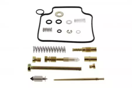 Kit di riparazione del carburatore Tourmax - CAB-DH40