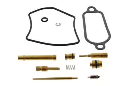 Kit di riparazione del carburatore Tourmax - CAB-DH41