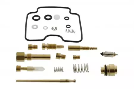 Kit de réparation du carburateur Tourmax - CAB-DS14