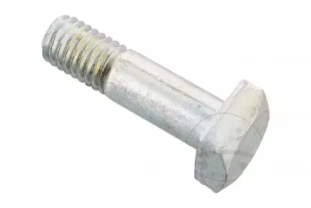 Śruba zębatki M8X1.25 24 mm 