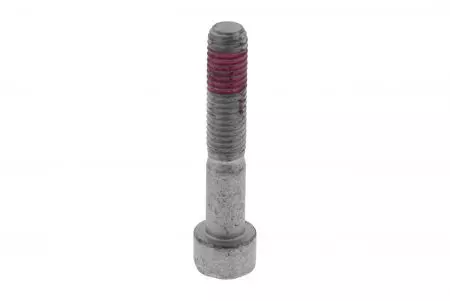 Tornillo M10x55 Producto OEM
