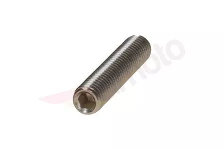 M8x40 pin voor BMW OEM product-2