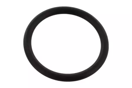 Στεγανοποιητικός δακτύλιος O-Ring του εντατήρα αλυσίδας χρονισμού 21 mm