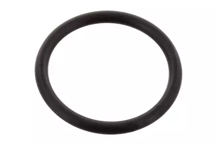 O-ring 22 mm för tätning av kedjespännare OEM