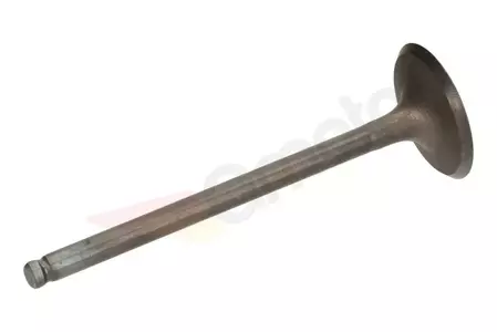 Valvola di scarico in acciaio ProX - 28.1338-1