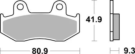 Karbonske kočione pločice za skuter SBS 125CT-2