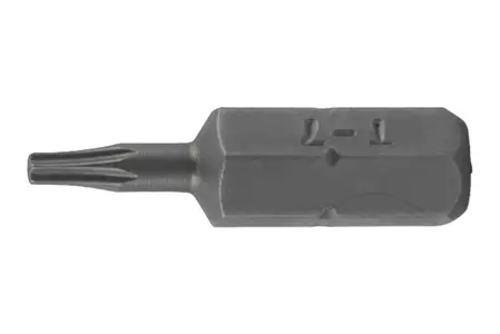 Torx bit T10 dolžine 25 mm z luknjo