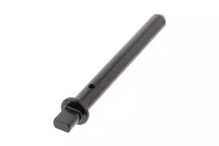 PRO-BOLT pen voor padbevestiging titanium zwart-1