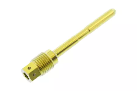 PRO-BOLT pin voor padmontage titanium goud - TIPINBP011RG