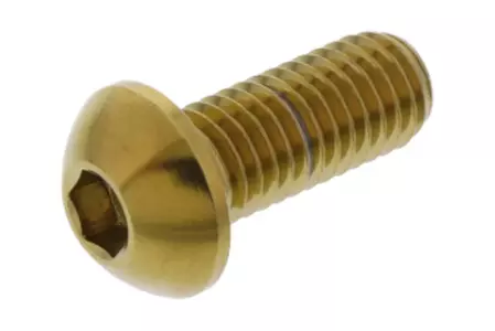 PRO-BOLT vijak za zavorni disk M8x1,25 dolžine 20 mm iz nerjavečega jekla zlata-1