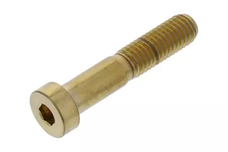 PRO-BOLT cylinderhuvudskruv M8x1,25 längd 40mm rostfritt stål guld - LSSSPDUC01G