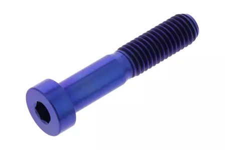 Vis à tête cylindrique PRO-BOLT M8x1.25 longueur 40mm titane bleu-1