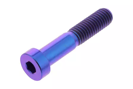 PRO-BOLT cylinderhuvudskruv M8x1.25 längd 40mm titan violett - TISPDUC01P