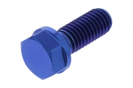 PRO-BOLT šroub pro brzdové kotouče M8x1,25 délka 20 mm titanová modrá - TIDISCDUC40B