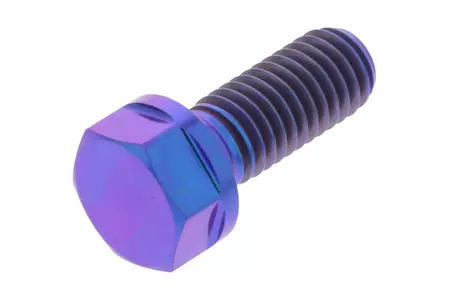 PRO-BOLT bremžu diska bultskrūve M8x1.25 garums 20mm titāna violeta krāsa - TIDISCDUC40P