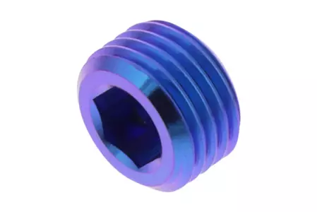 PRO-BOLT tornillo de presión del vástago de la pinza de freno M10x1,00 titanio violeta-1